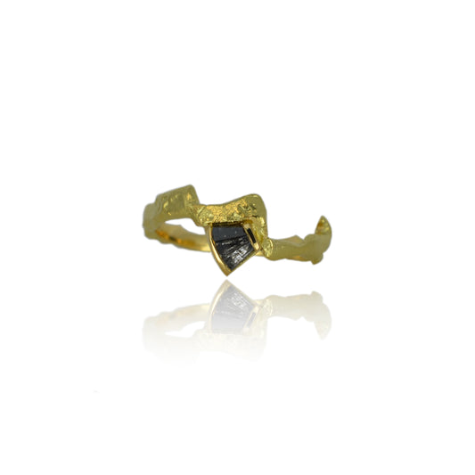 Gold and diamond companion ring V